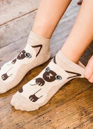 Носочки с кошечкой носки с котятами с котами набор носков с котиками5 фото