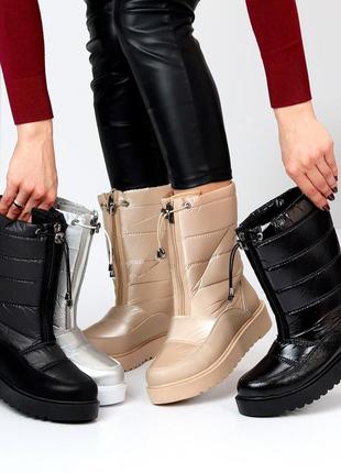 Термодутики