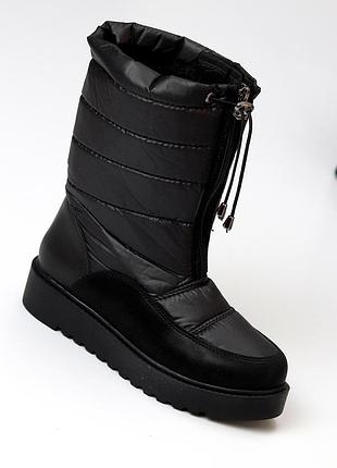 Термодутики