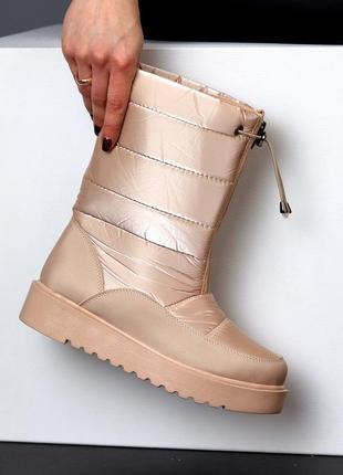 Термодутики