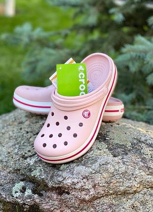 Кроксы розовые пудровые сабо crocs crocband pearl
