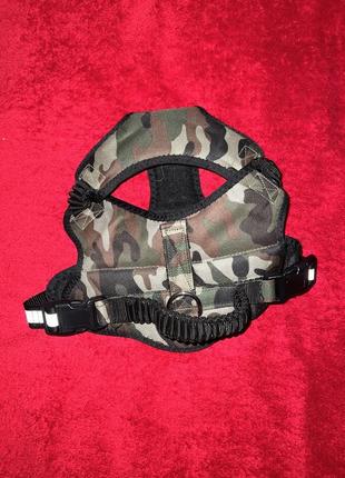 Шлейка на собаку