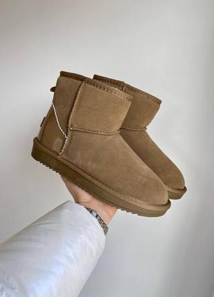 Женские угги на меху ugg brown new (5 фото