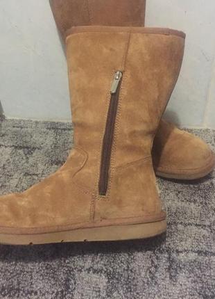 Женские кожаные ботинки ugg 36р зима4 фото