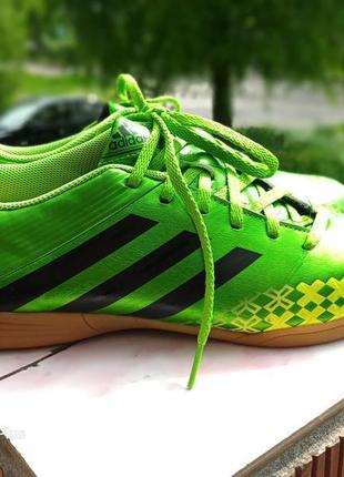 Кроссовки, футзалки adidas predito q216753 фото