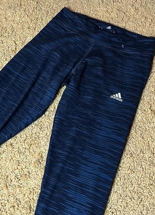 Лосіни adidas