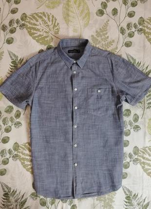 Фірмова сорочка cedarwood state