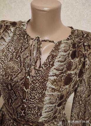 Сукня міді зі зміїним принтом2 фото