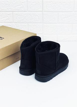 Женские замшевые мини угги замш зима унисекс ugg mini зимові угі