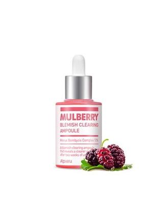 Набор для проблемной кожи лица a'pieu mulberry blemish clearing special set3 фото