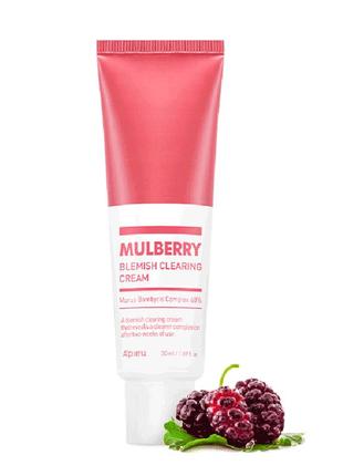 Набор для проблемной кожи лица a'pieu mulberry blemish clearing special set4 фото