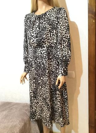 Сукня мідаксі в леопардовий принт debehanhams розмір 16/183 фото