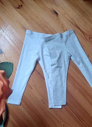 Лосінки lupilu