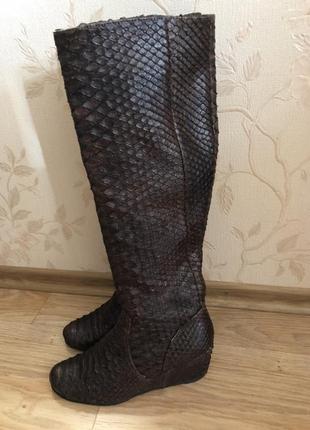 Сапоги из кожи питона