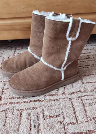 Сапоги угги ugg