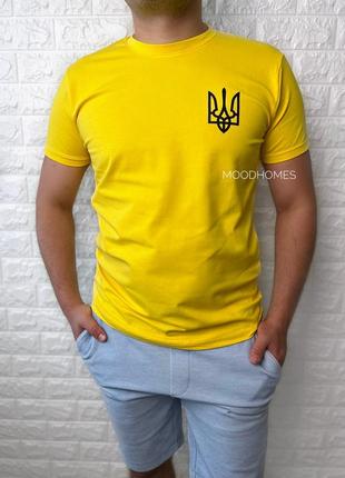 Футболка чоловіча