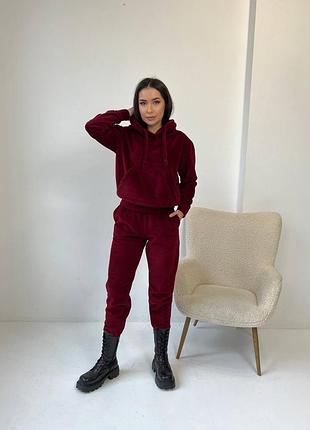 Теплий костюм  спортивний  прогулочный  флис