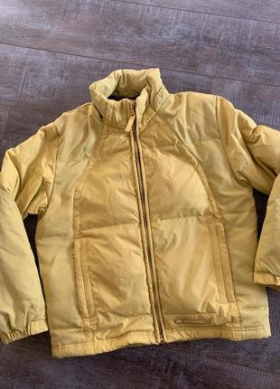 Пуховик, куртка зимова