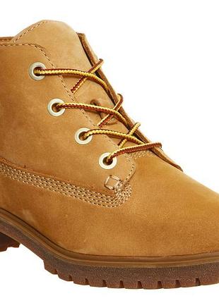 Стильні, якісні ботінки timberland slim nellie chukka, оригінал