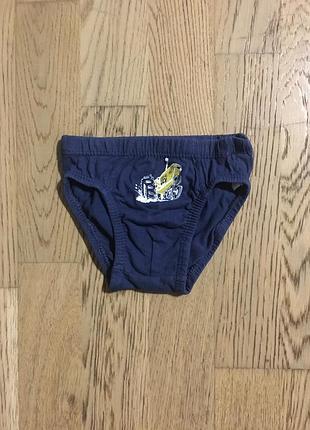Трусики bluekids