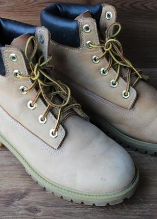 Стильні черевики timberland5 фото