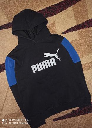 Реглан " puma "