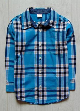 Яркая рубашка для мальчика.
gymboree.
размер 4 года