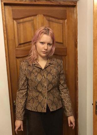 Гарний піджак під зміїну шкіру