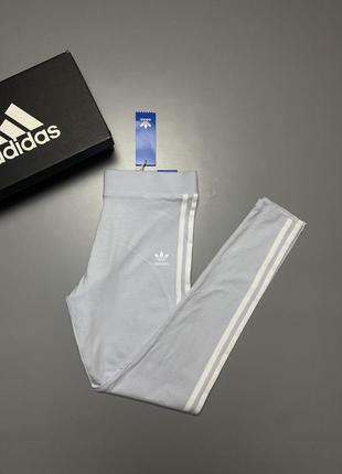 Спортивні лосіни adidas