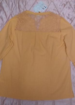 Блуза paola с красивой спинкой хлопок3 фото