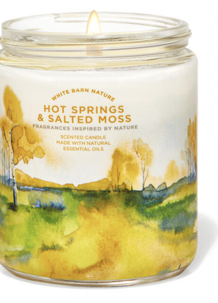 Свічка на 1 гніт bath and body works hot springs &amp; salted moss