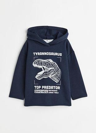 Кофта з капюшоном начосом