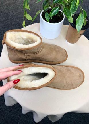 Мужские угги ugg classic mini мужественные угги8 фото