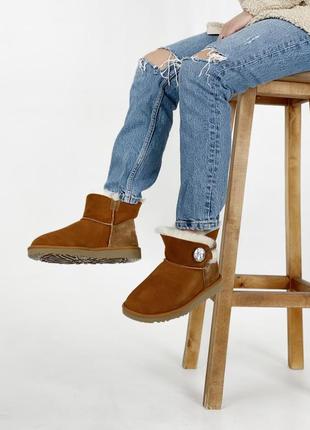 Жіночі угги ugg brown женские уггы9 фото