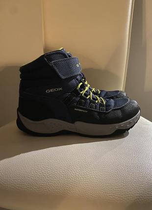 Термо ботинки geox1 фото