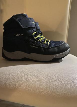Термо ботинки geox2 фото