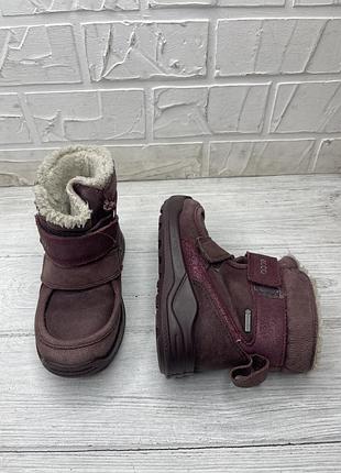 Ботинки ecco gore-tex 5