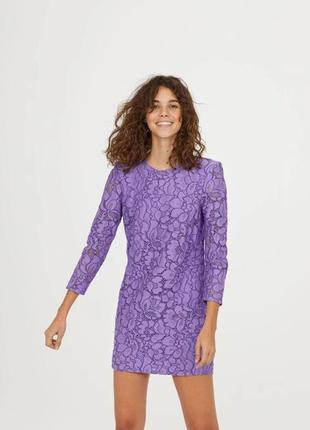 Коротке жіноче мереживне плаття фіолетовий 36/6 h&m 0657731001