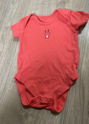 Боди лето бодик