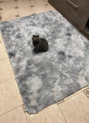🌺🌺🌺 світло сірий килим коврик 150*200 см 90*2002 фото