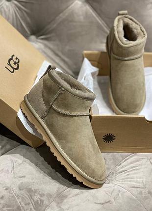 Угги замша овчина ugg mini бренд беж ржи