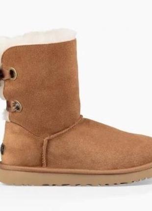 Жіночі угги bailey bow chestnut short | ugg