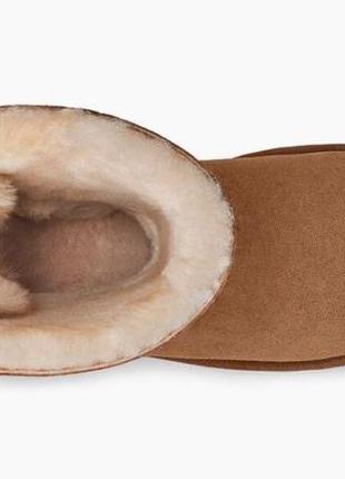 Жіночі угги bailey bow chestnut short | ugg
