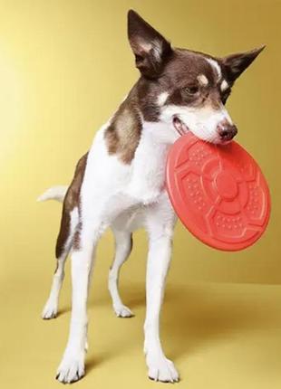Літаючий диск для собак