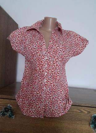 Блуза на гудзиках