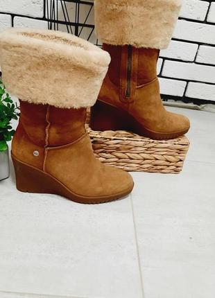 Сапоги из натуральной замши ugg размер 38-39