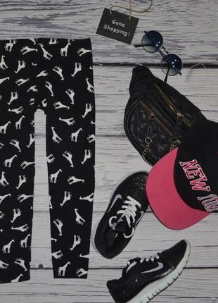 4 - 5 лет 104 - 110 см яркие модные легинсы лосины девочке  с жирафами