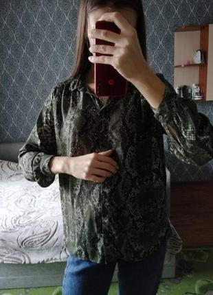 Сорочка в анімалістичний принт