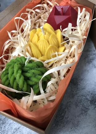 Набір свічок з бджолиного воску