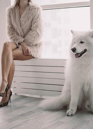 Лодочки леопардовые